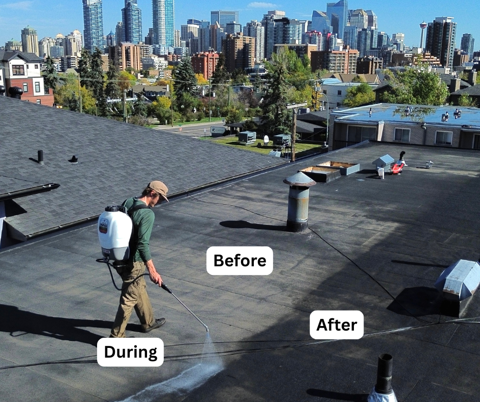 Technician applying rejuvenation treatment on a roof with before and after labels against a city skyline.